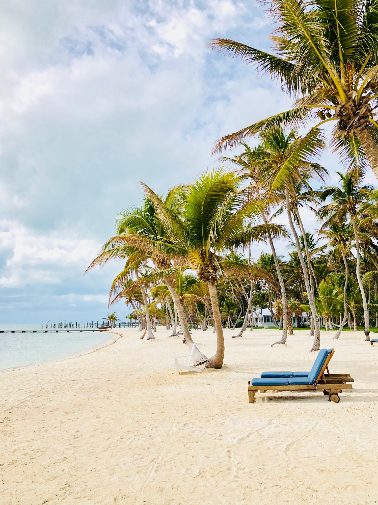 Tropical beach landscapes.