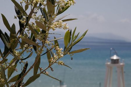 Aparthotel Grand Nefeli