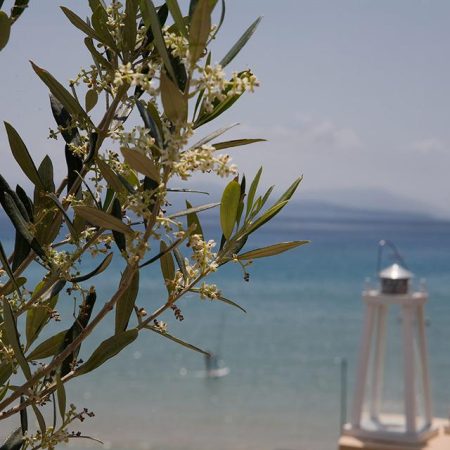 Aparthotel Grand Nefeli