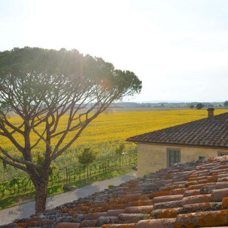 Le Terre dei Cavalieri Appartementen