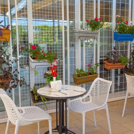 Hotel Orange County Belek – winterzon