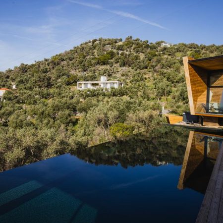 Five Olive Dream Trip