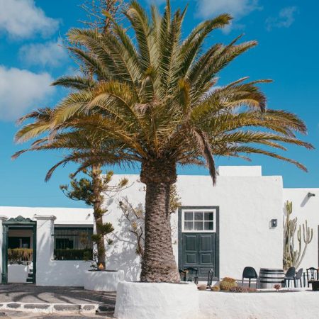 Hotel Bodega el Grifo